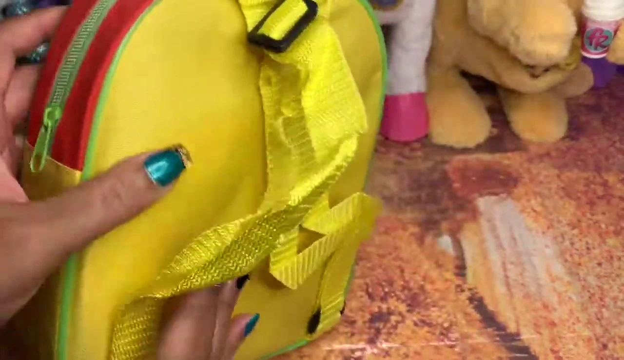The bag opened, revealing the instruments inside