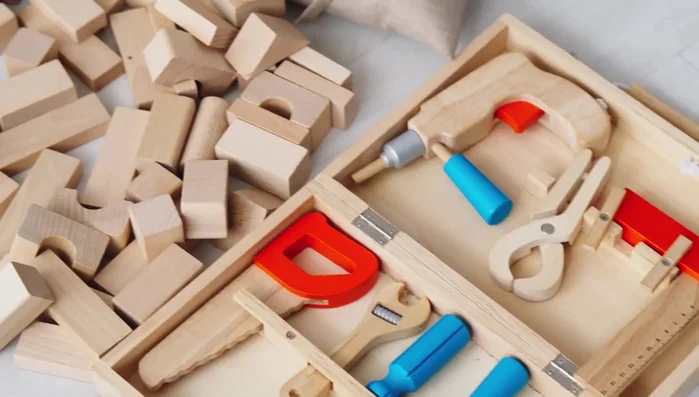 Focus on Didactic Toys for Educational Play