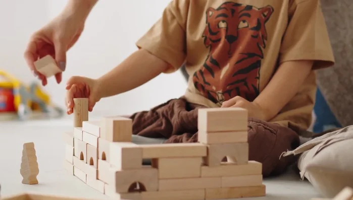 Examples of Didactic Toys: Building Blocks, Puzzles, Educational Games, Musical Instruments, and Art Supplies