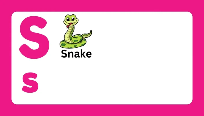 Letter S and associated words (Snake, Snail, Star, Shark, Sun, Ship)