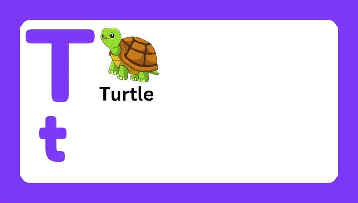 Letter T and associated words (Turtle, Tree, Tiger, Tomato, Turkey, Table)