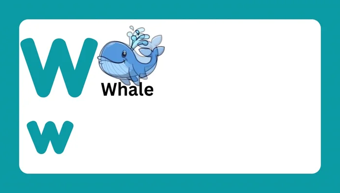 Letter W and associated words (Whale, Wheel, Watch, Watermelon, Worm, Wolf)