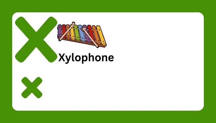 Letter X and associated words (Xylophone, X-ray, Fish)