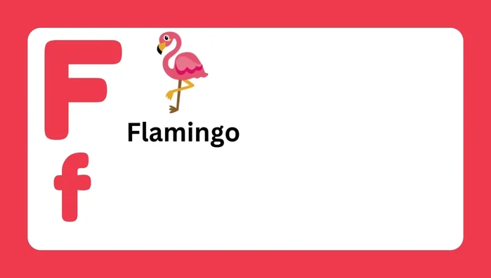 Letter F and associated words (Flamingo, Fox, Frog, Fire, Feather, Flower)