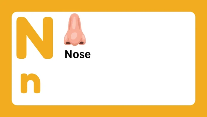 Letter N and associated words (Nose, Needle, Nut, Nail, Nest, Narwhal)