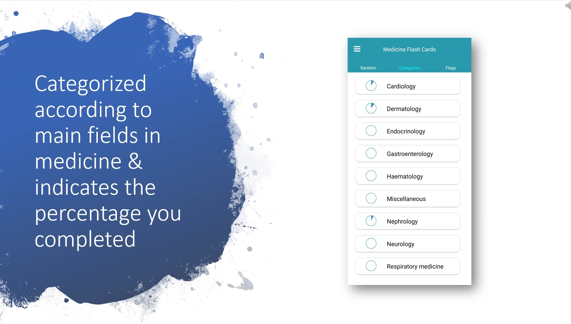Screenshot highlighting the categorized flashcards.