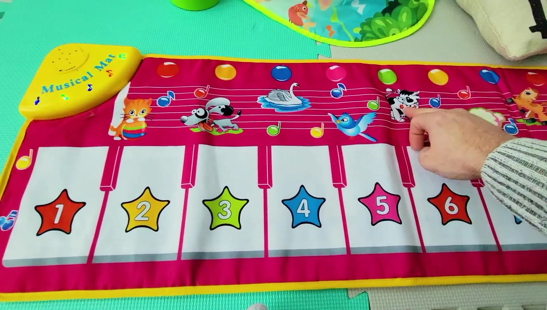 The various animal sounds being played.