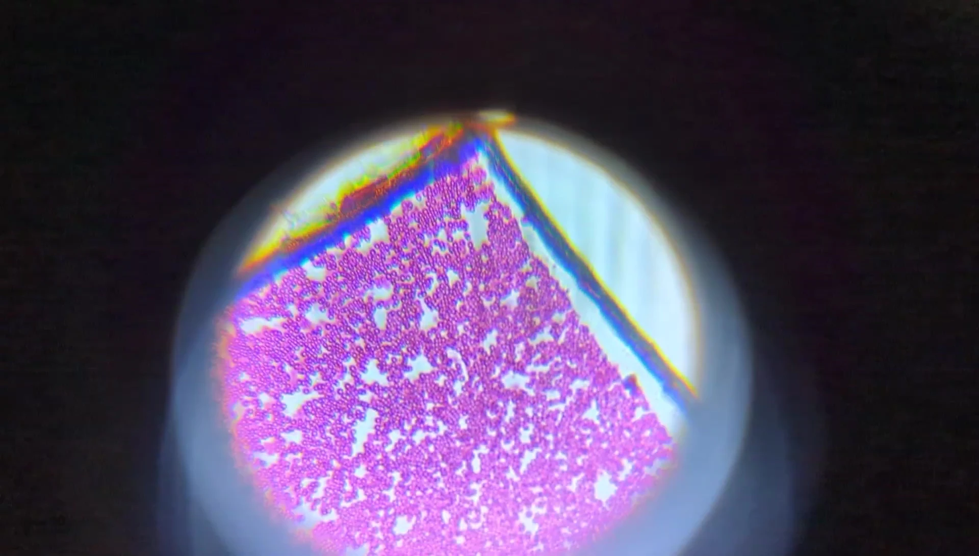 Microscope with zoom magnification details