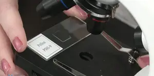 My First Lab Duo-Scope Review: A Kid-Friendly Microscope?
