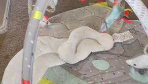 Skip Hop Baby Play Gym: A Comprehensive Review