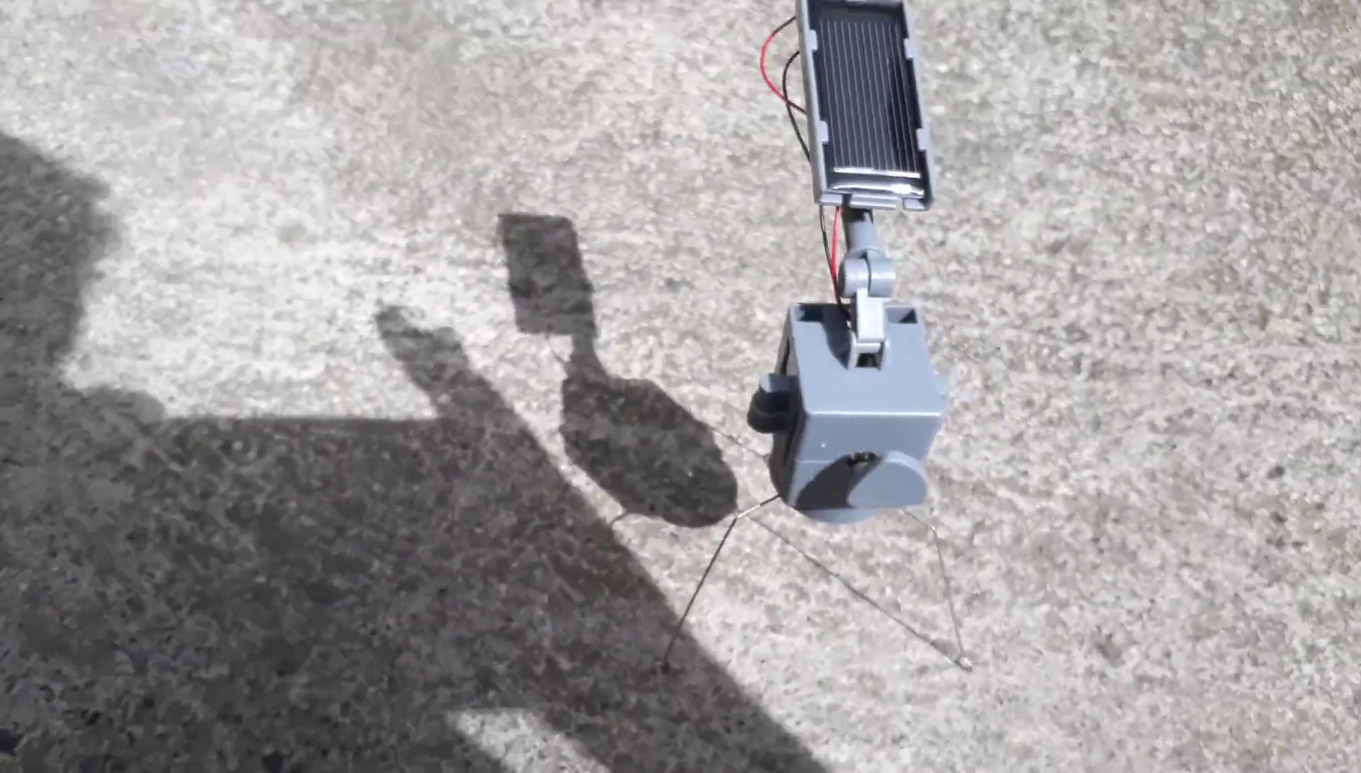 A closer look at the vibrating toy.