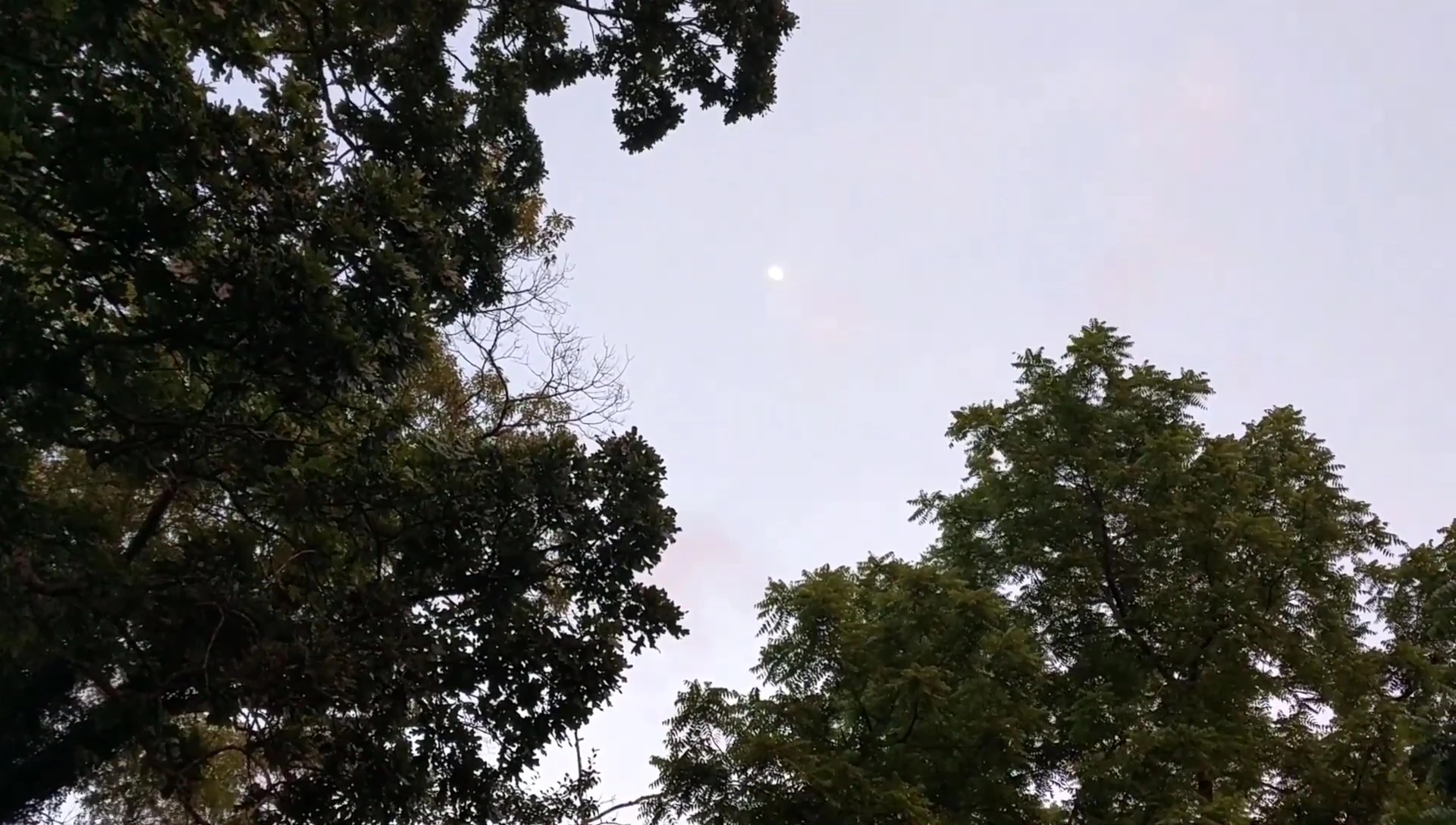 Preparing for nighttime moon observation.