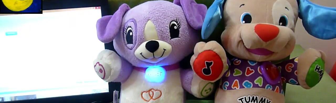 Close-up of the Fisher-Price Laugh & Learn Puppy