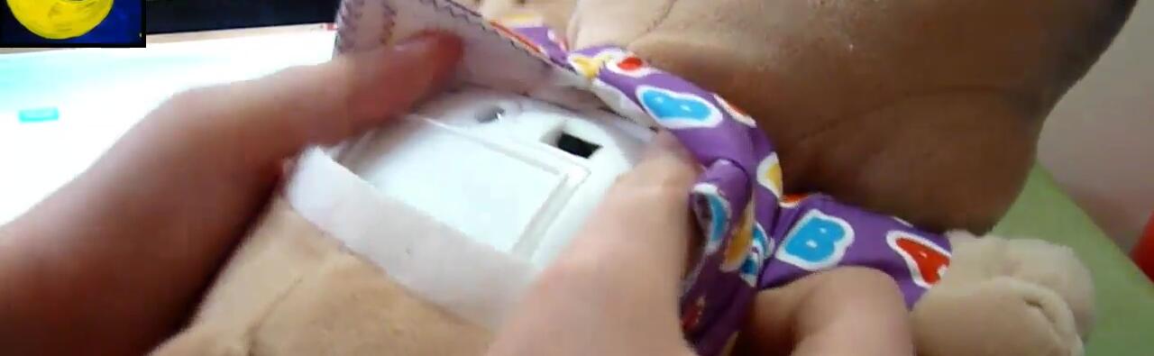 The power button and volume controls on the Fisher-Price puppy