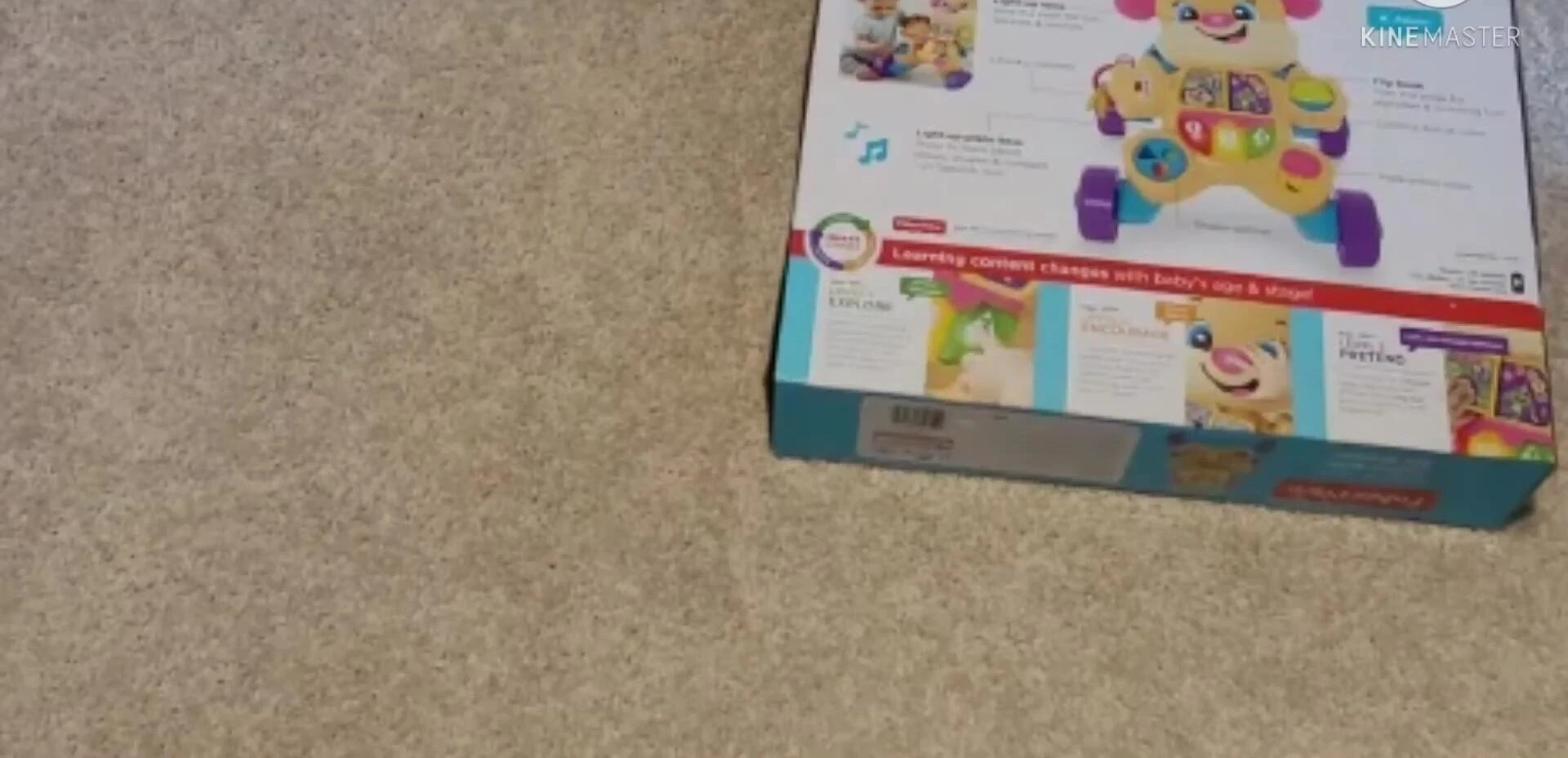 Box showcasing multiple interactive features.