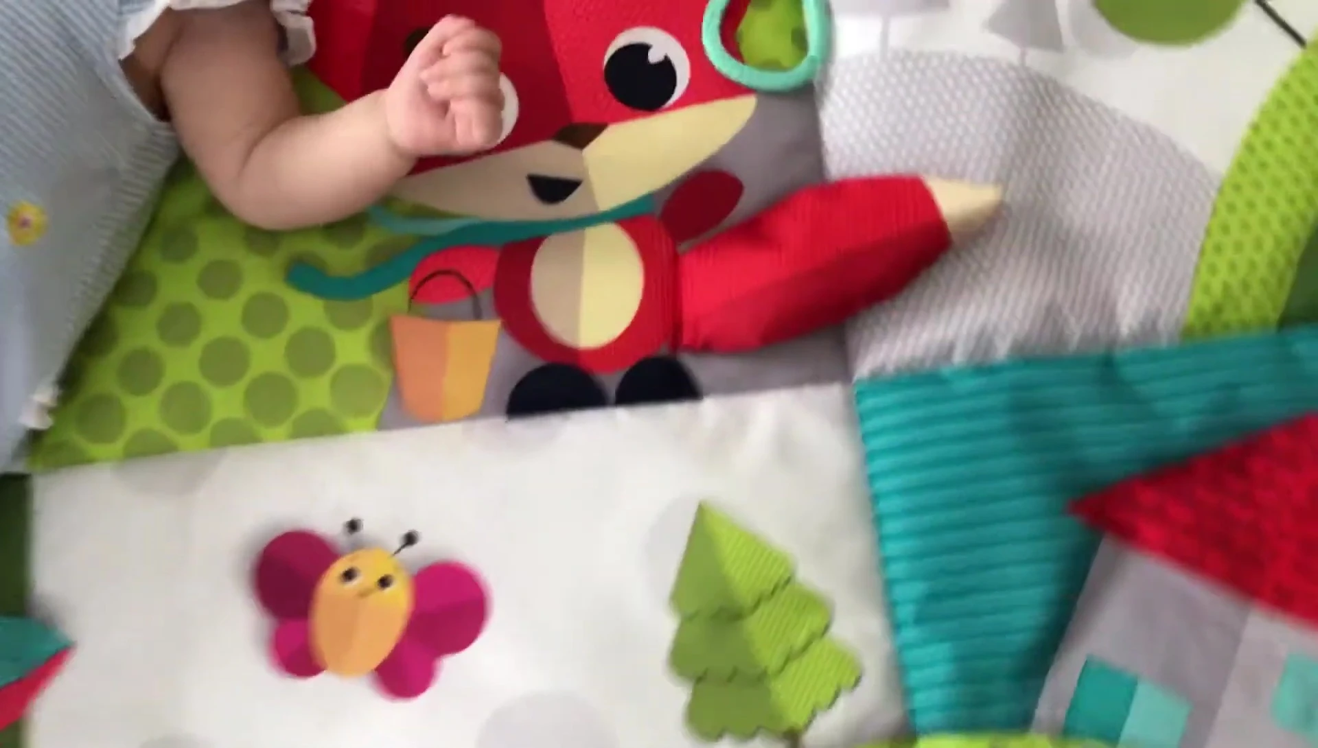 The fox toy.