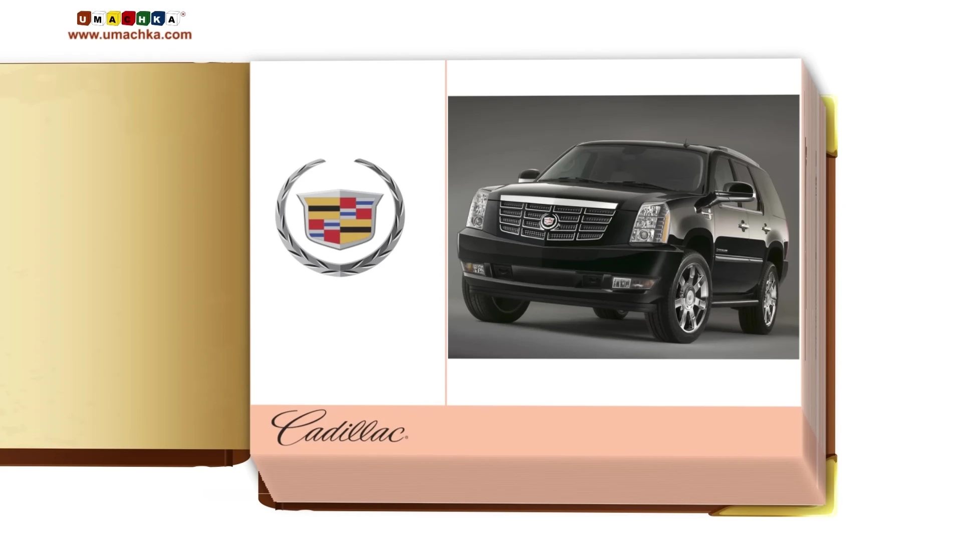A Cadillac and a Mustang