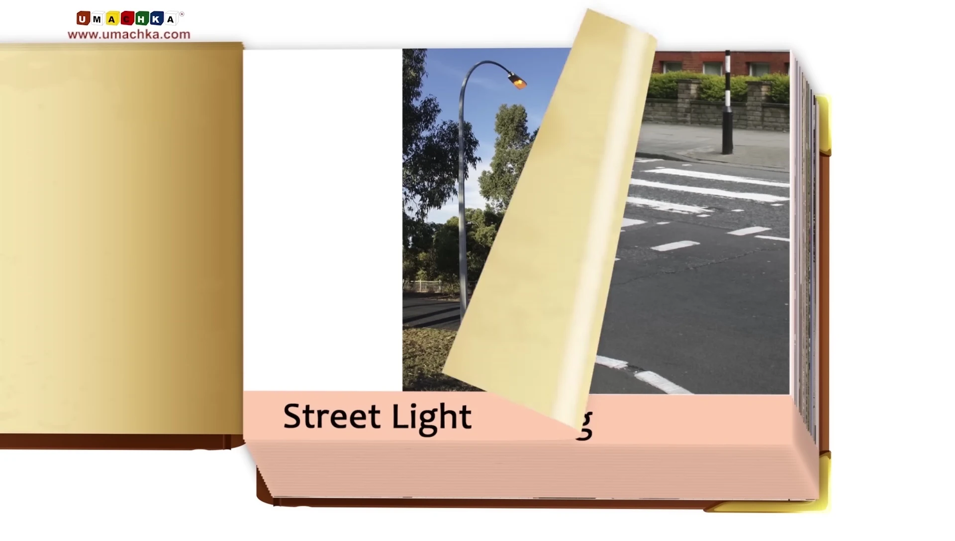 A streetlight and pedestrian crossing