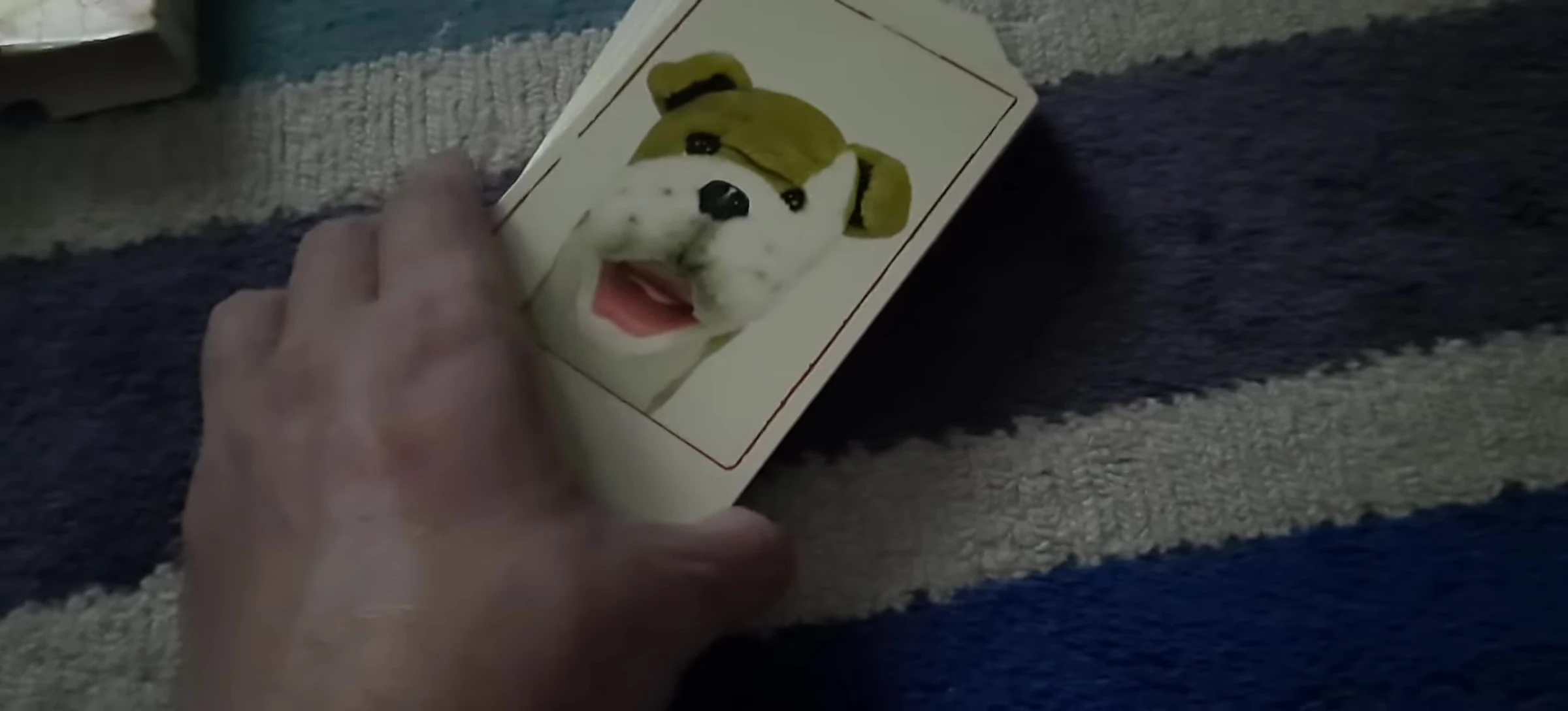 Missing Fish card mentioned