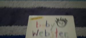 Baby Webster 1999 Flash Cards Review: A Rare Find for Little Learners