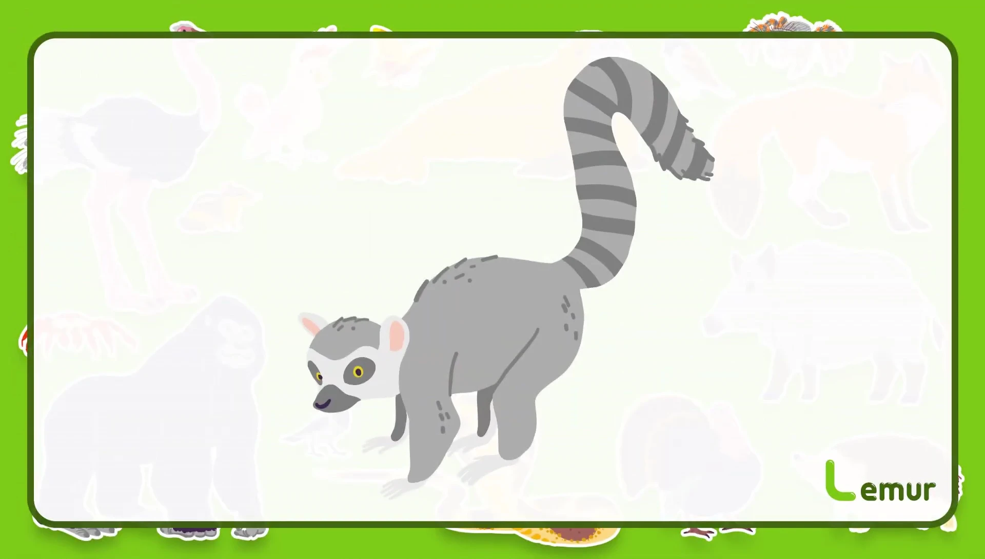 Flashcard displaying a lemur and a llama