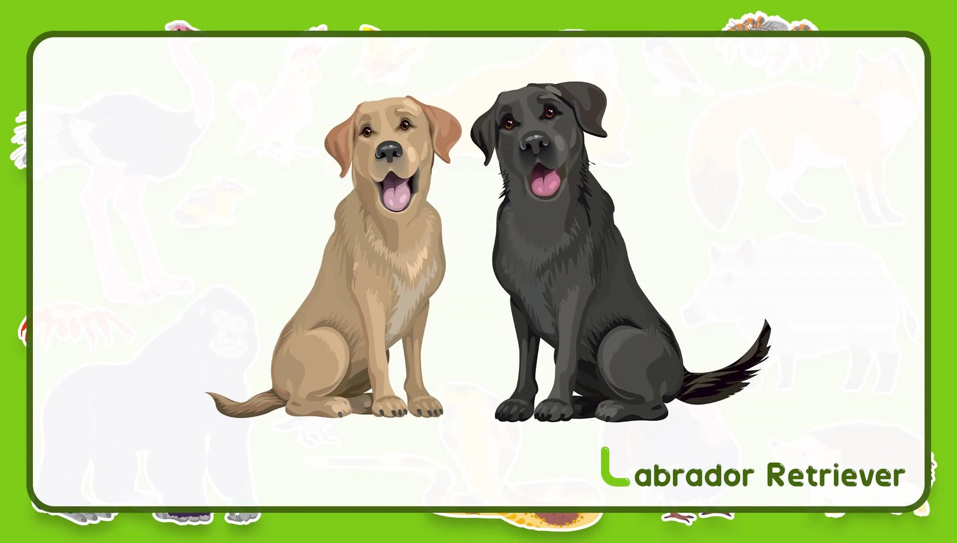 Flashcard showcasing a Labrador Retriever and a lizard