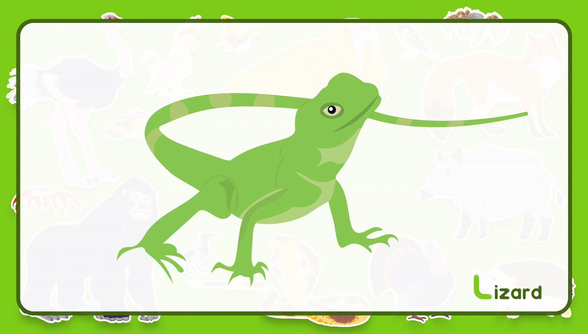 Flashcard with a lamprey and a locust