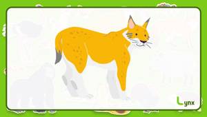 L Animals Flash Cards: A Fun and Engaging Learning Tool