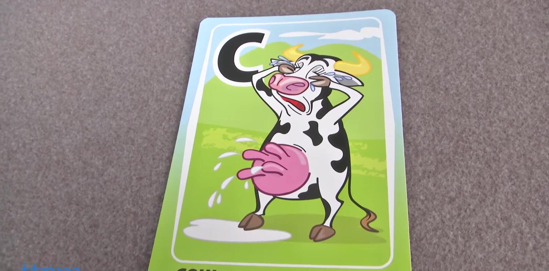 Example cards showing illustrations of silly and gross things.