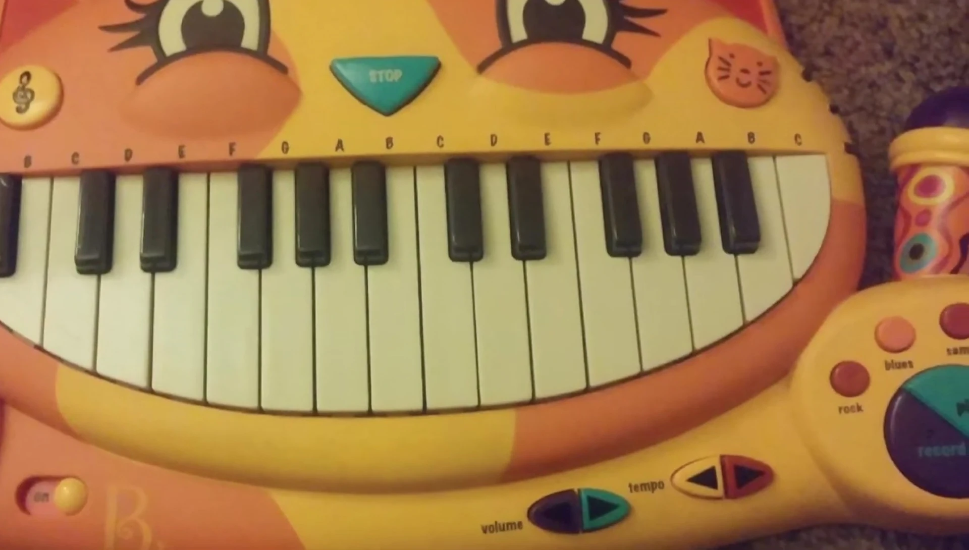 Close-up shot of the piano's microphone.