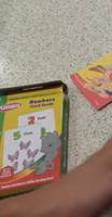 Playskool Flash Cards Review: Durability and Value After Months of Use