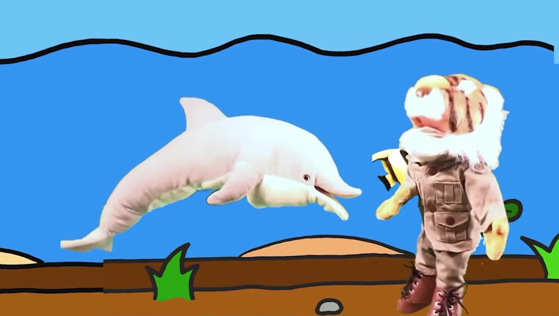 Tim the Tiger interacting with the dolphin