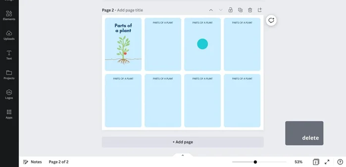 Add images relevant to the terms. Search Canva for suitable images and resize them.