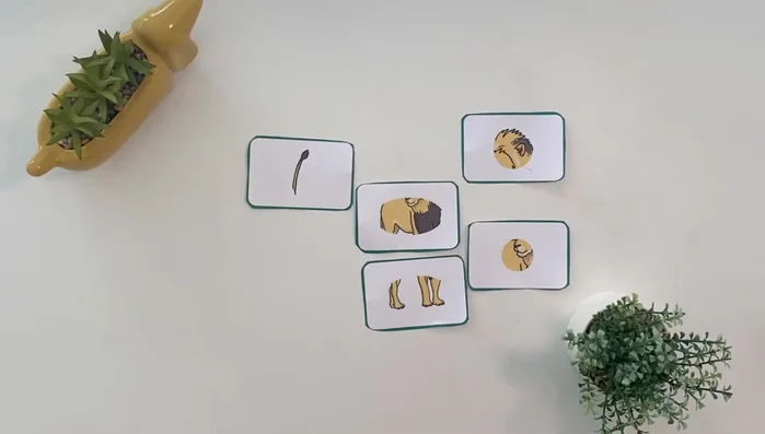 Use flashcards to introduce new scientific vocabulary.