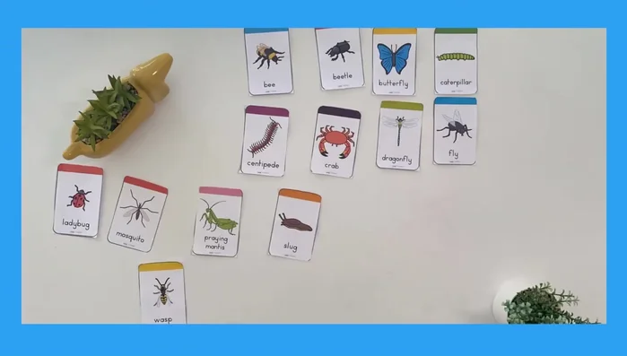 Connect the words with visuals; pictures help children understand the meaning.