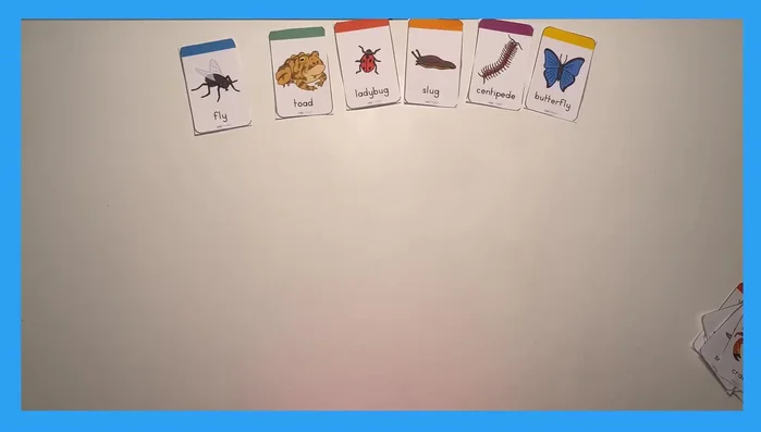 Engage children in guessing games using flashcards.