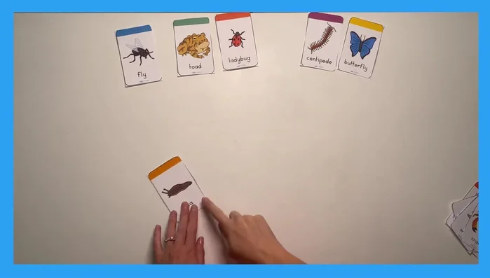 Ask yes/no questions to guide the children toward identifying the object on the card. Example: 'Does it have legs? Is it blue? Is it black? Does it have more than six legs? Can it jump?'