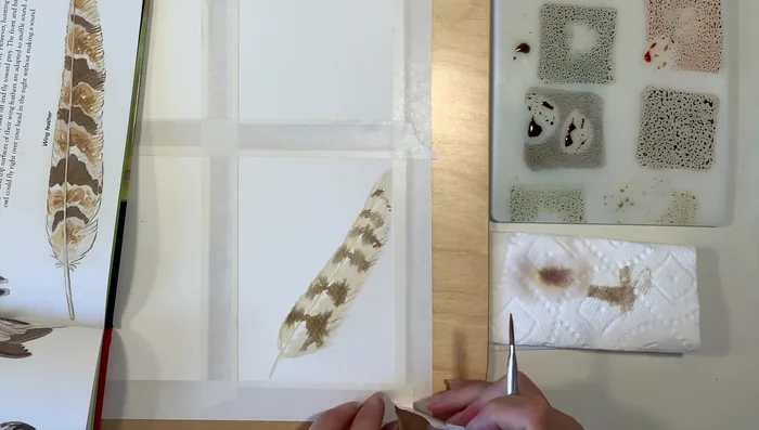 Watercolor the bird images: Use simple, inexpensive watercolor brushes to paint bird images on the cards. Use a paper towel to lift excess ink or adjust color.
