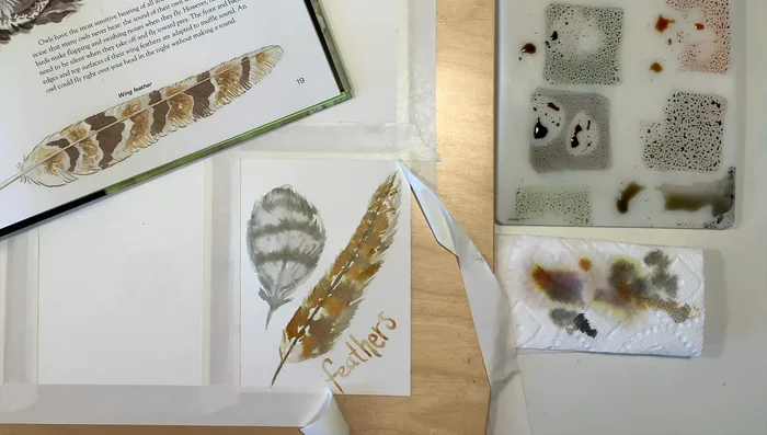 Label and add details: Label each card with the bird's name and add fine details using a fine-tipped brush.