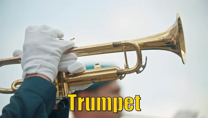 French Horn sound example
