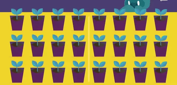 Ensure both groups receive the same treatment (water, sunlight, etc.).
