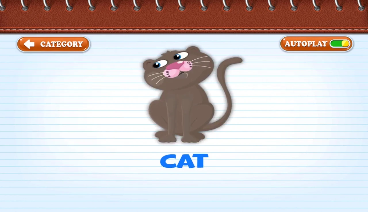 Flashcard showing the word 'cat'