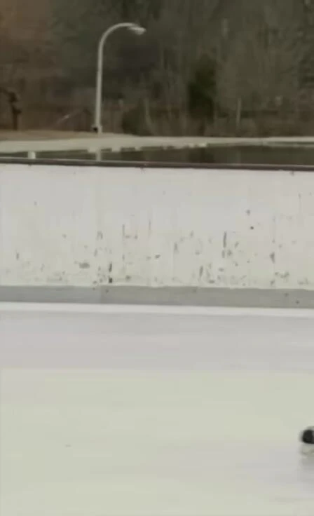 Image of a child ice skating.