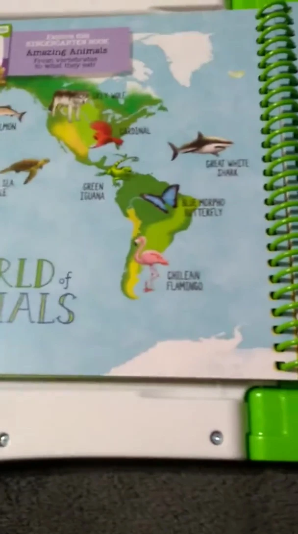 A more challenging page from the ‘World of Animals’ book.
