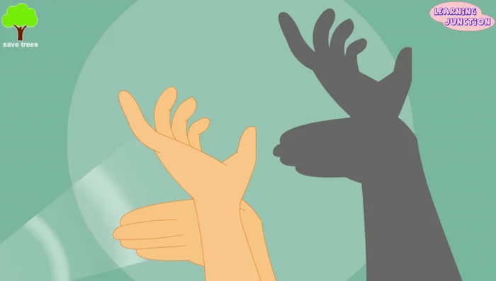 Shadow Formation and Characteristics