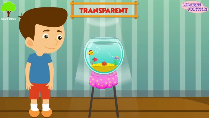 Translucent Objects (e.g., frosted glass)