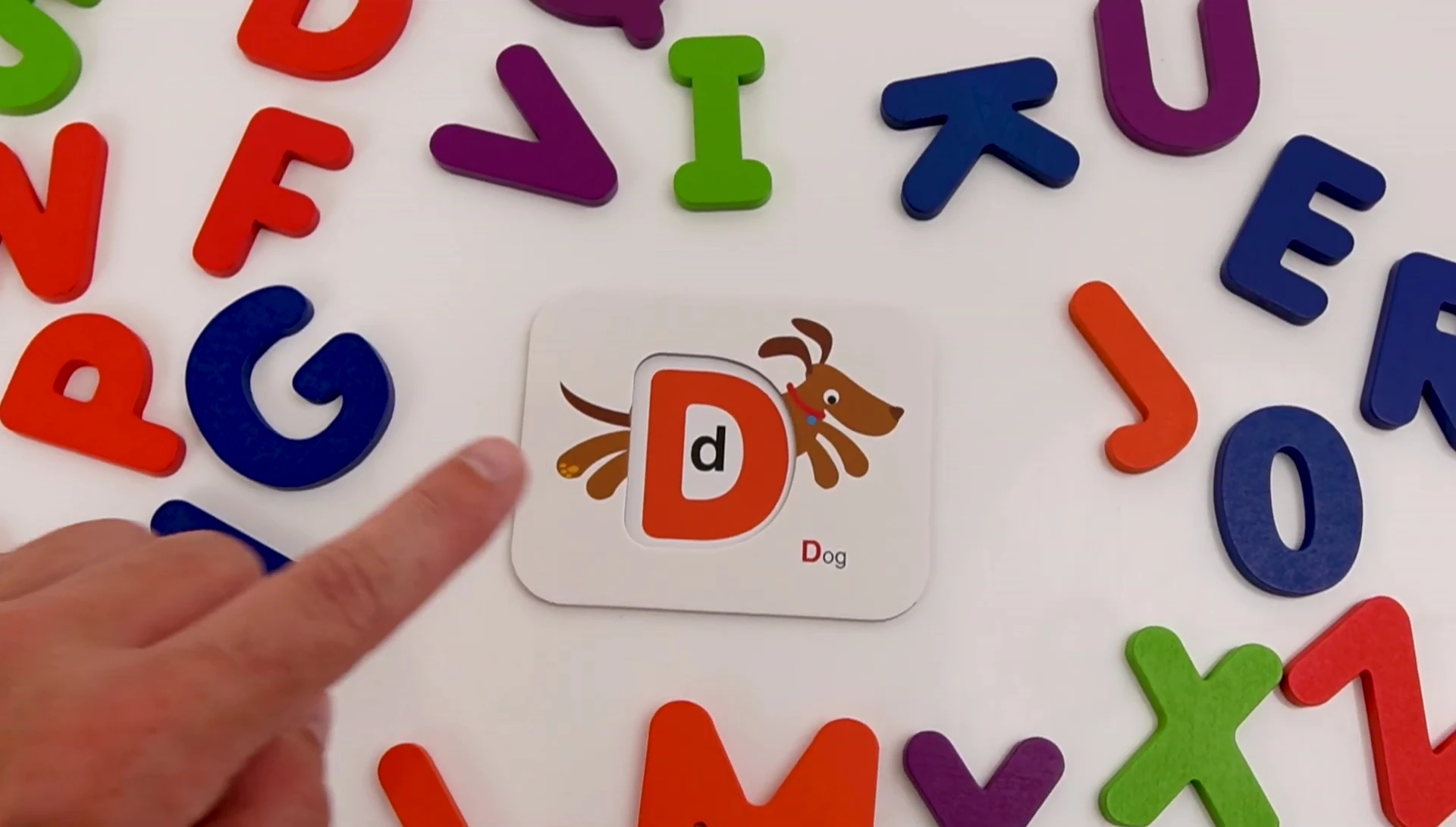 Presenter showing the letter 'D' flashcard.