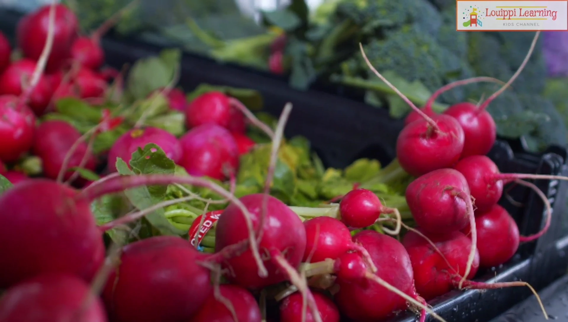 Flashcard showing radish and onion