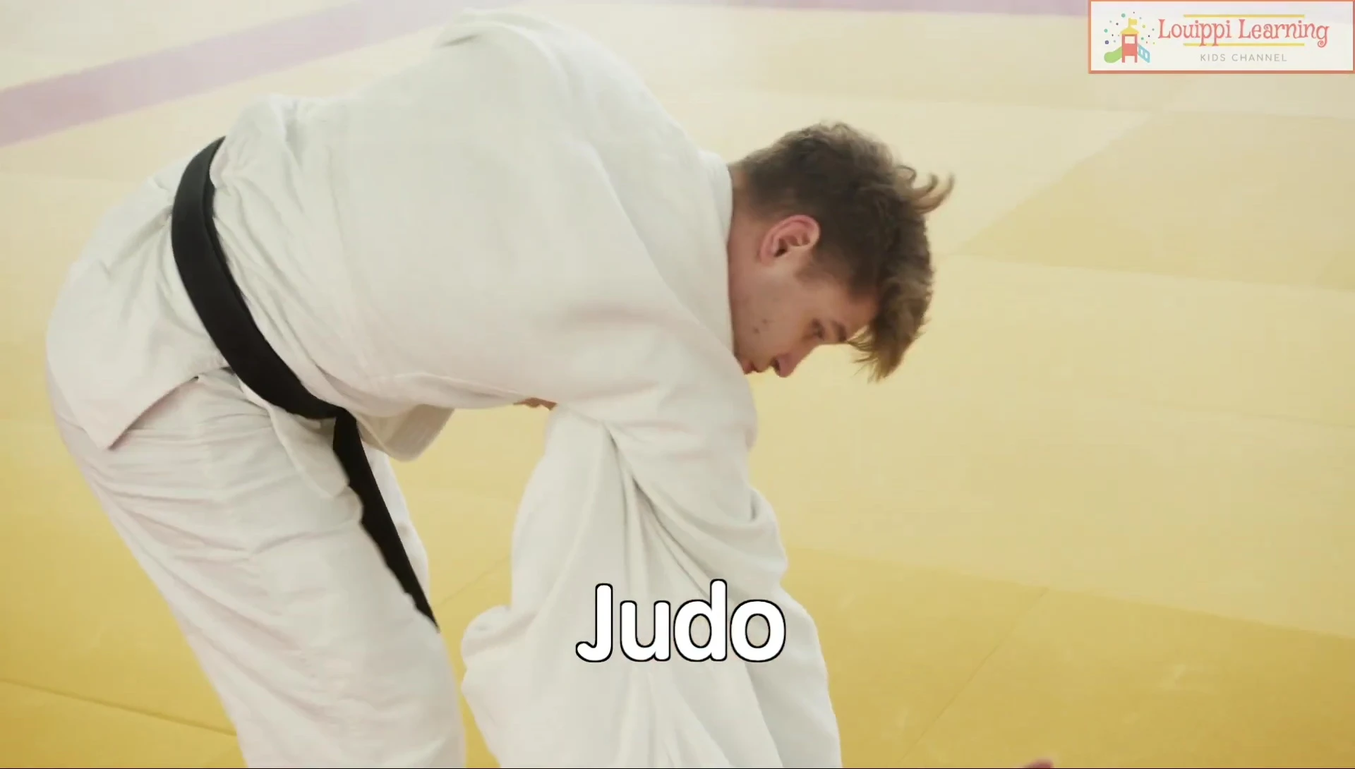 Flashcard showing judo and figure skating