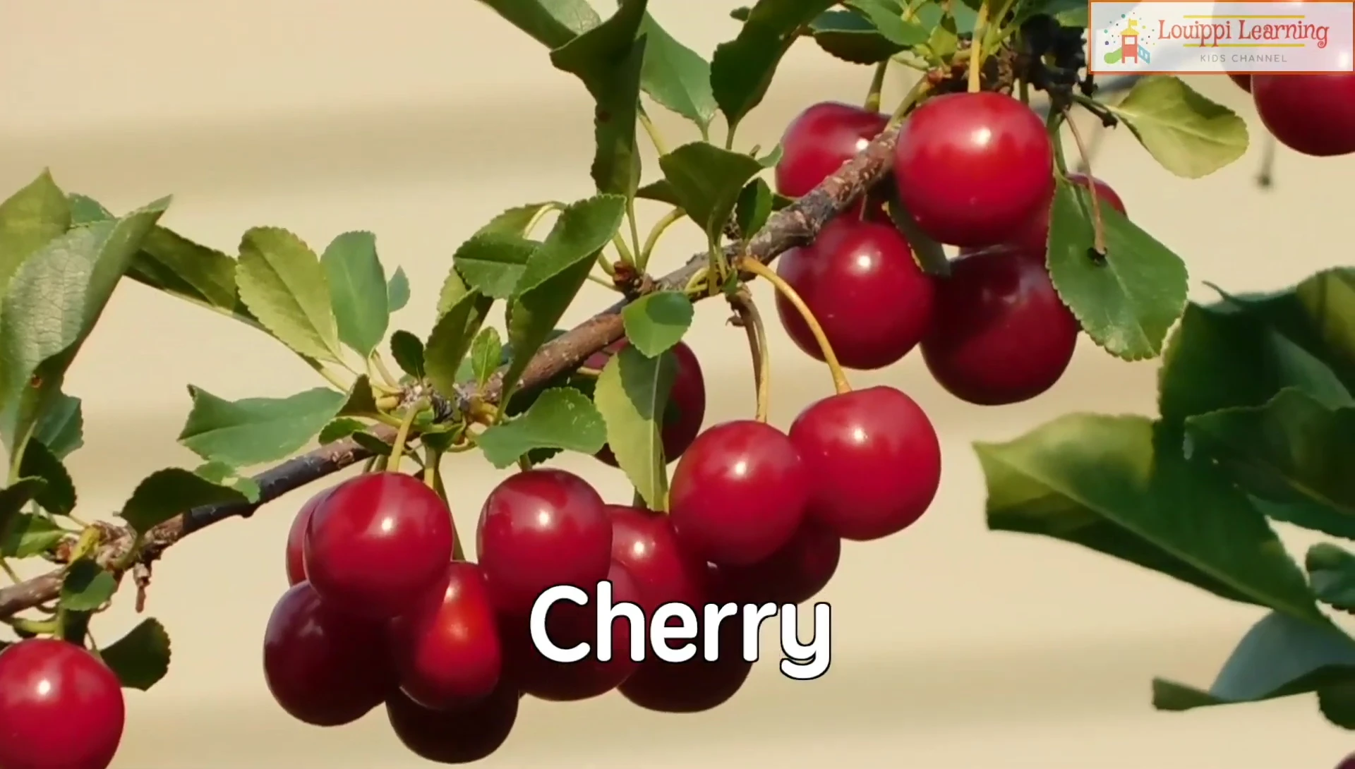Flashcard showing cherry and lemon